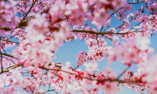 婴儿必须一个人抱才睡觉吗-婴儿必须一个人抱网 | 婴儿必须一个人抱才睡吗,宝宝只让我一个人抱
