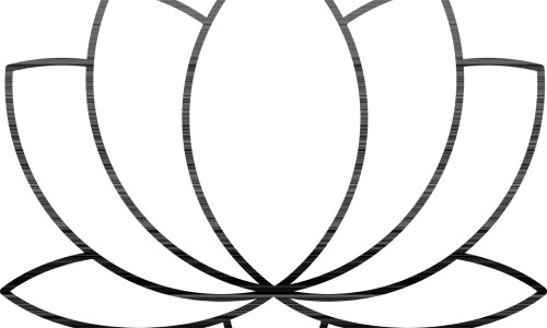 婴儿必须一个人抱网 | 婴儿必须一个人抱才睡吗,宝宝只让我一个人抱